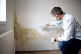 Best Mold Documentation for Insurance Claims  in Virginia Gardens, FL